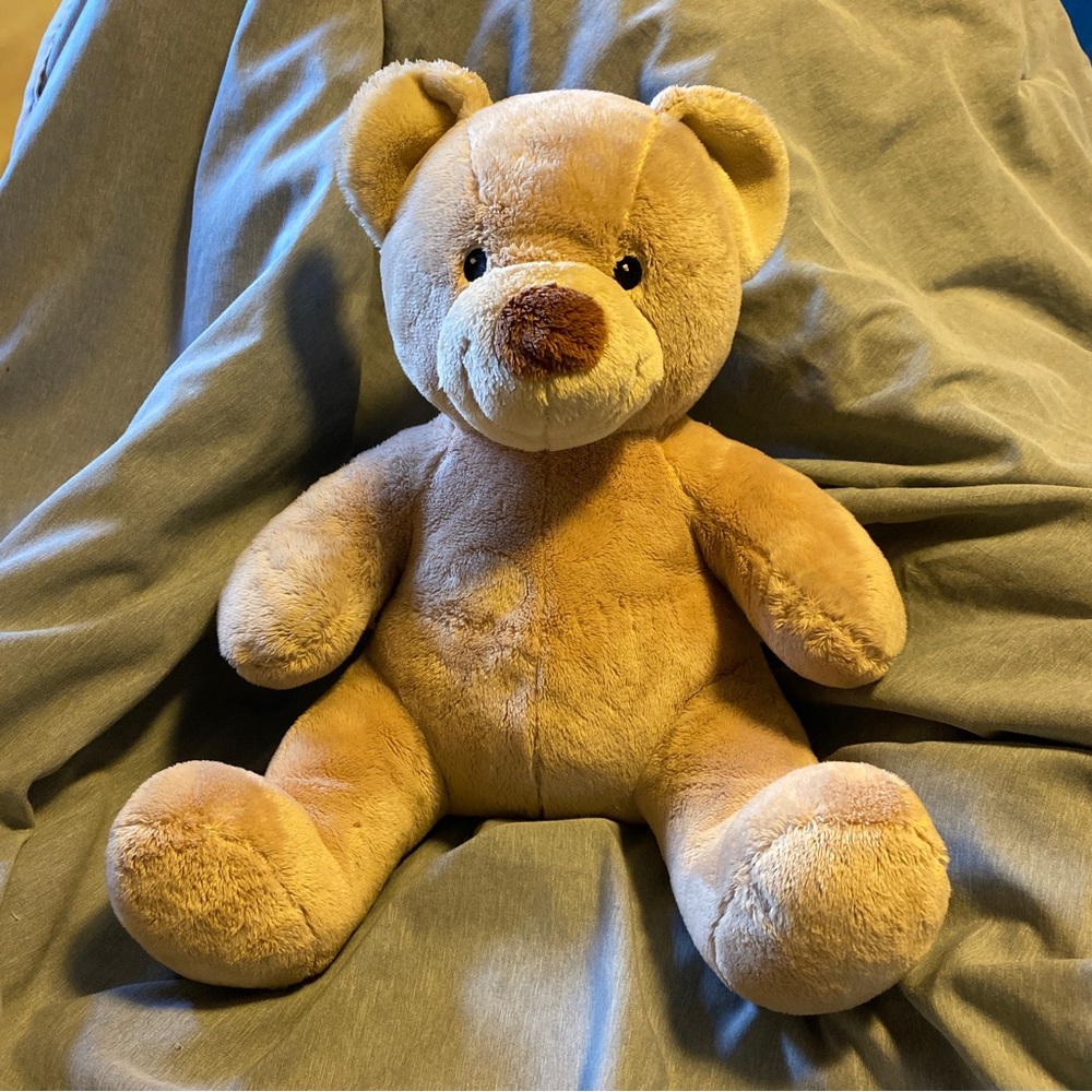 Build A Bear Brand Bear Stuffed Animal